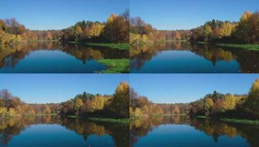 湖面上五彩缤纷的秋树林倒影高清在线视频素材下载