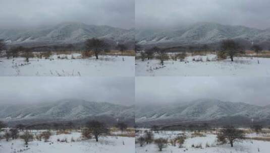 航拍湖北神农架大九湖冬季冰雪风光雪景高清在线视频素材下载