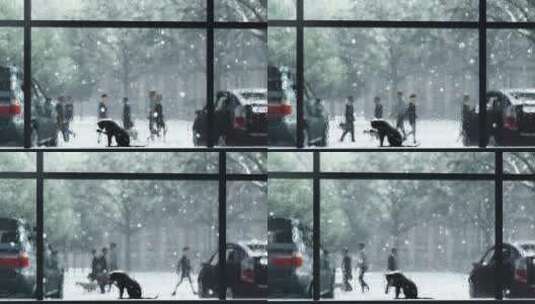 雪天在窗台上的流浪猫高清在线视频素材下载