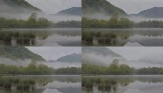 山脚下树林湖泊雾气高清在线视频素材下载