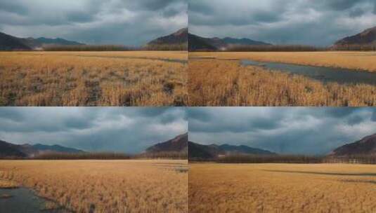 草原湿地视频中国西部青藏高原河流源头风光高清在线视频素材下载