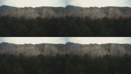 通过薄雾覆盖的森林进行缓慢的空中旅行高清在线视频素材下载