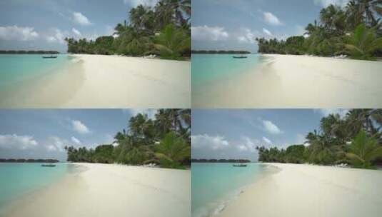 阳光明媚海滩树木高清在线视频素材下载