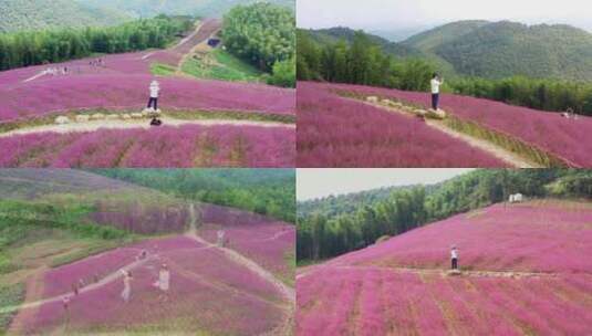 自然风光，人生如景，景如人生，美在山水间高清在线视频素材下载