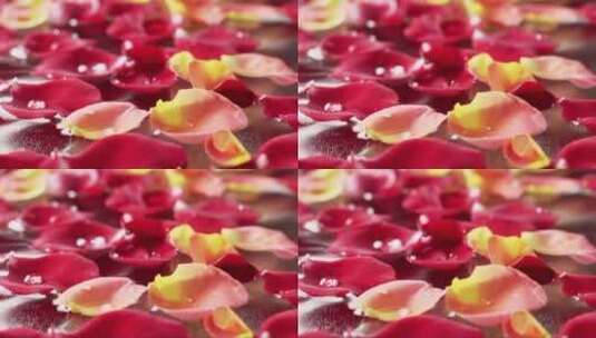 水上漂浮的花瓣高清在线视频素材下载