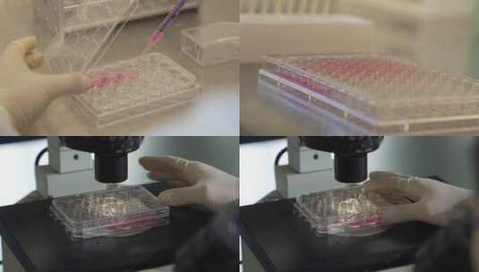 实验室试剂显微镜高清在线视频素材下载