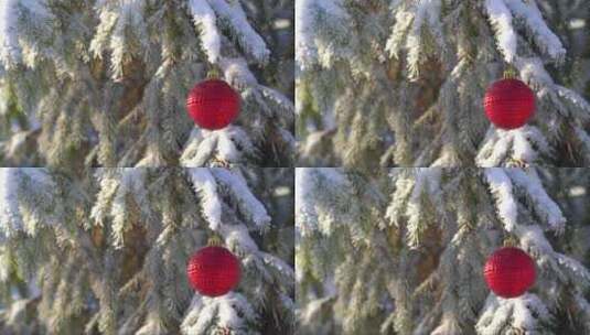 红色圣诞球挂在松树或冷杉的绿色雪花树枝上高清在线视频素材下载