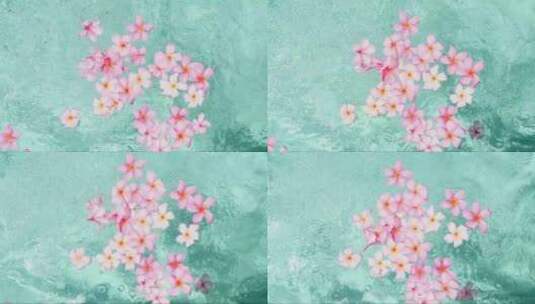 粉色的花朵浮在水面上高清在线视频素材下载
