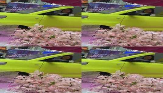 济南悦立方，五菱宏光MINI EV 改装车展高清在线视频素材下载