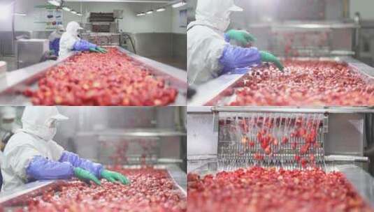 食品加工草莓冻干加工工厂高清在线视频素材下载