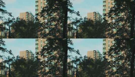 绿树掩映中的住宅唯美空镜高清在线视频素材下载