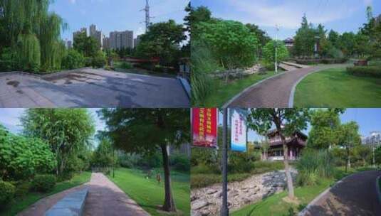 武汉青山武丰闸湿地公园4K视频合集高清在线视频素材下载