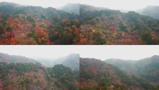 航拍北京慕田峪长城深秋秋季景色高清在线视频素材下载