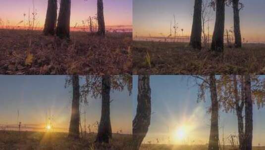 夏季或秋季的草地延时摄影乡村田野女巫阳光高清在线视频素材下载