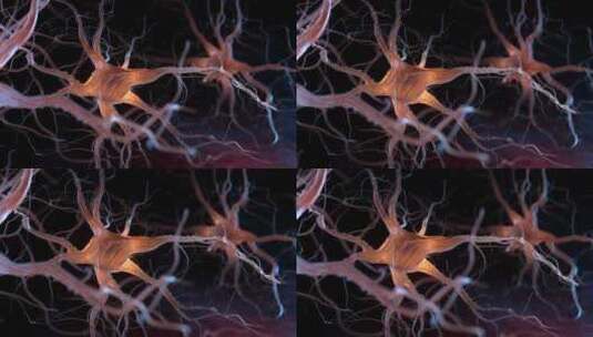 4K-超清神经元特写高清在线视频素材下载