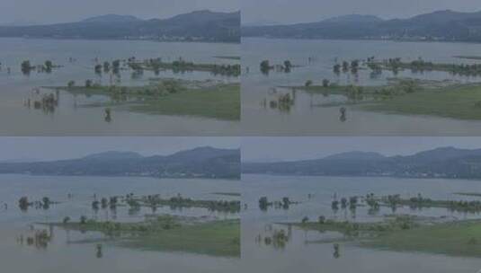 洛阳嵩县陆浑水库湿地生态高清在线视频素材下载