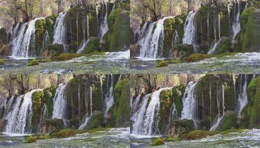 九寨沟箭竹海瀑布水中青苔流水岩石秋天水景高清在线视频素材下载