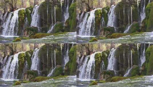 九寨沟箭竹海瀑布水中青苔流水岩石秋天水景高清在线视频素材下载