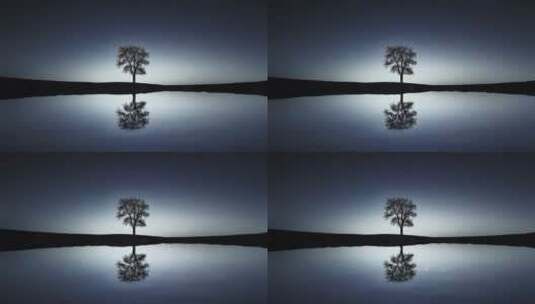 夜晚树在海面的倒影高清在线视频素材下载