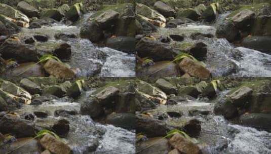 溪水山泉河流水源高清在线视频素材下载