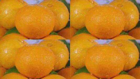 爱媛38号果冻橙高清在线视频素材下载
