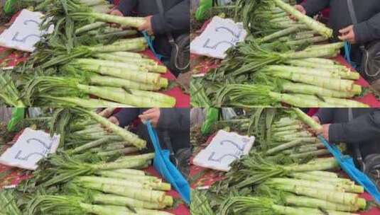 顾客挑选莴笋菜市场卖莴笋高清在线视频素材下载