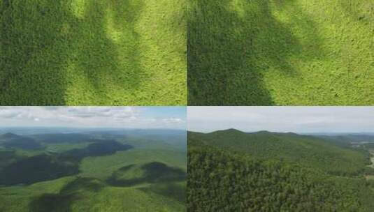 一组图博勒国家森林公园的航拍镜头高清在线视频素材下载