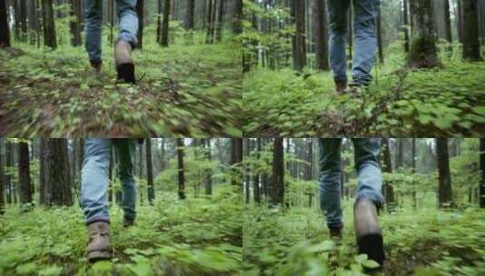 走在森林里的人脚高清在线视频素材下载