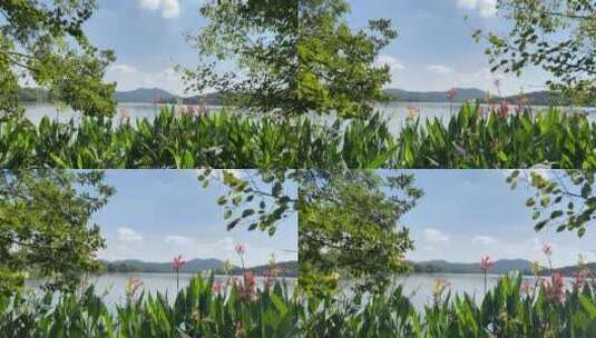 4k 西湖中式园林山水画高清在线视频素材下载