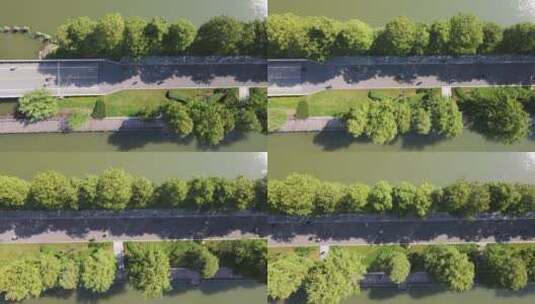 航拍武汉东湖绿道上骑车玩耍的游客高清在线视频素材下载