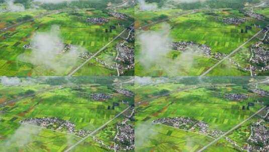 雨后乡村云雾缭绕 唯美光影 绿色稻田高清在线视频素材下载