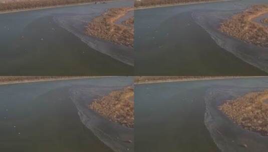 北方冬季河流湿地风光鸟类自然航拍高清在线视频素材下载