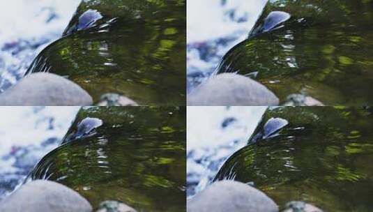 清澈的河水在岩石上流动高清在线视频素材下载