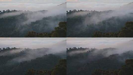 哥斯达黎加雨林景观的时移，云雾山脉的自然时移高清在线视频素材下载