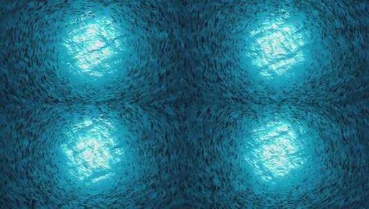 海底鱼群环绕光源游动高清在线视频素材下载