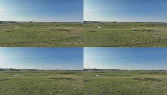 航拍呼伦贝尔草原牧场羊群高清在线视频素材下载