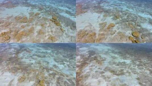 清澈见底的海水高清在线视频素材下载