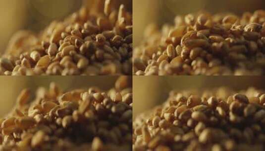 小麦粒掉落11高清在线视频素材下载