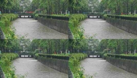 台风海葵登录深圳高清在线视频素材下载