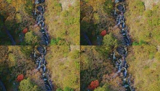 秦岭秋景太平森林公园瀑布高清在线视频素材下载