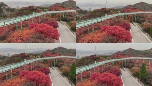 山东淄博博山柿岩古村，秋季满山红叶景观高清在线视频素材下载