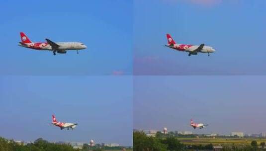 四川航空 飞机 航班 飞机降落 厦门高崎机场高清在线视频素材下载