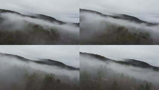 森林 山脉 树林 云雾高清在线视频素材下载