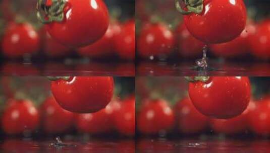 新鲜的番茄高清在线视频素材下载