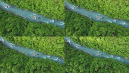 森林 河流 瀑布 小溪高清在线视频素材下载
