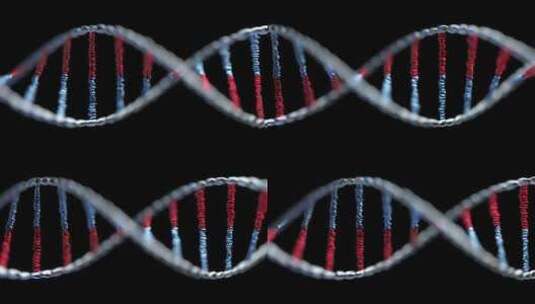 DNA螺旋染色体进化高清在线视频素材下载