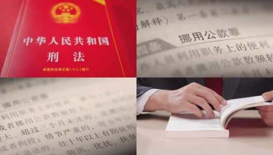 刑法第三百八十四条挪用公款罪侵占公共财物高清在线视频素材下载