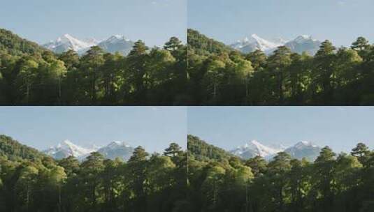 森林雪山自然风光全景高清在线视频素材下载