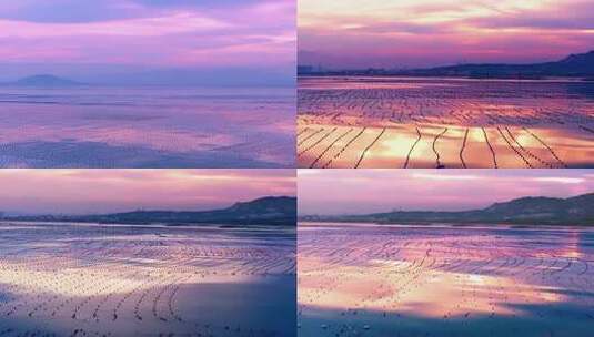 晚霞下的海洋牧场高清在线视频素材下载