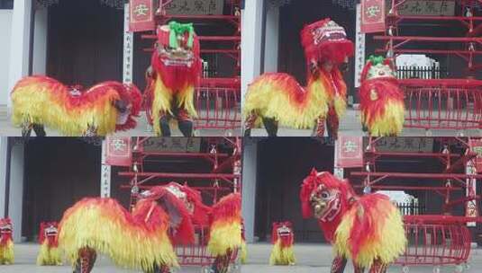 舞狮表演民俗活动画面高清在线视频素材下载